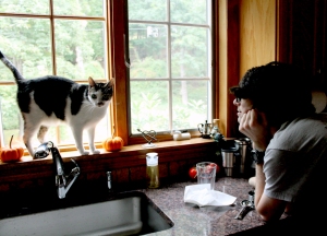 Cat and the Matt.